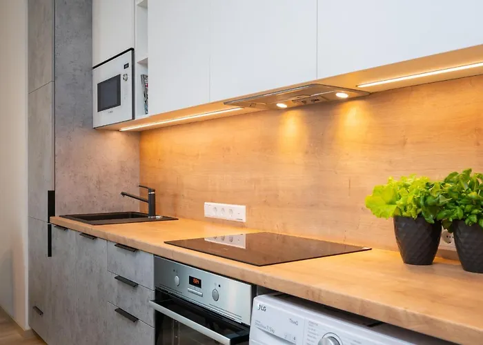 Aatrium Kinnisvara Riia Str 20a Apartment, 7-th Floor